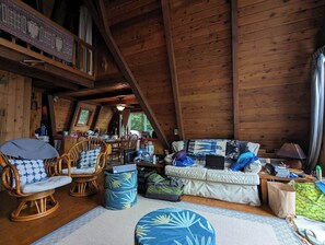 Smart TV, fireplace, table tennis, books