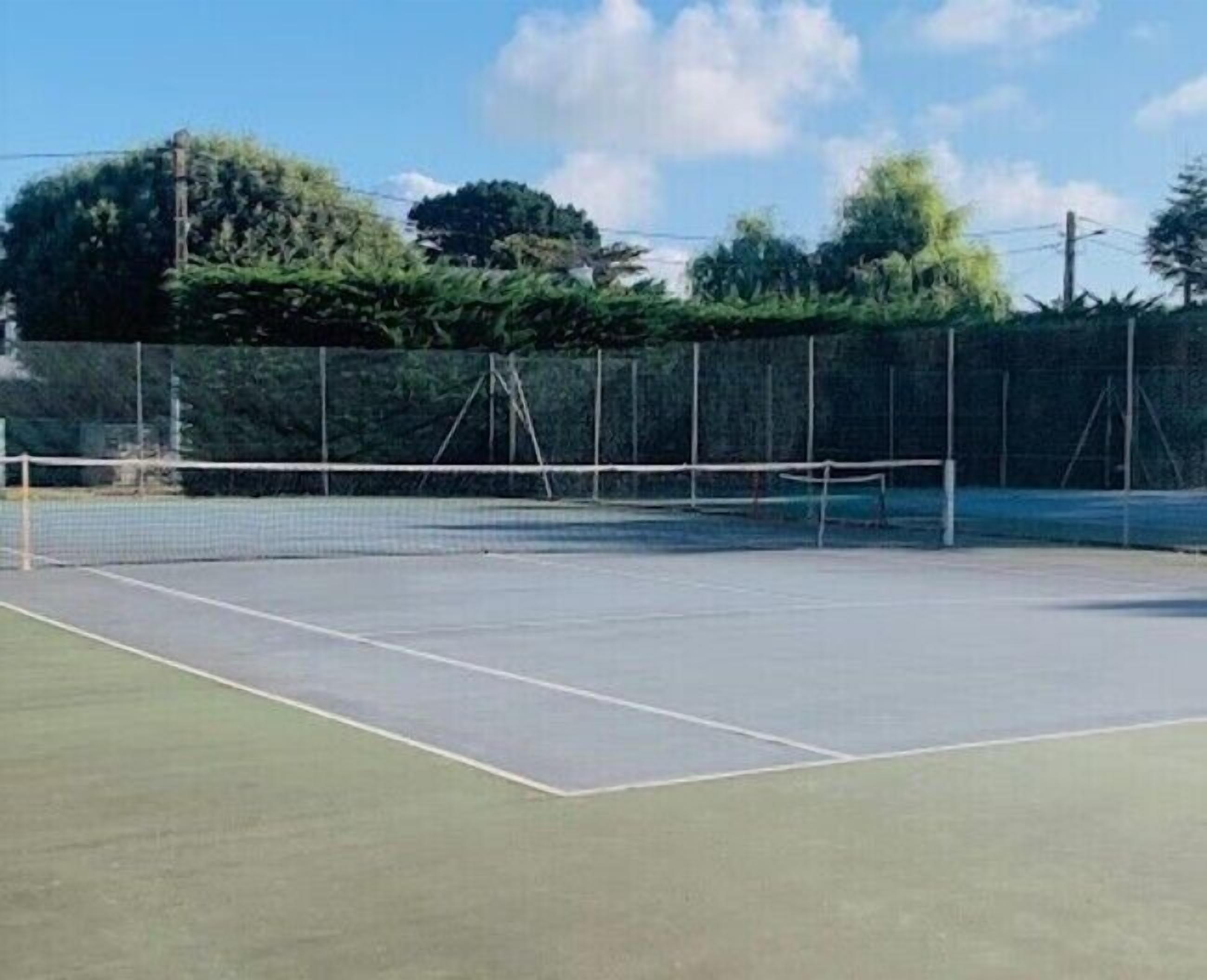 Een tennisbaan buiten met net, omringd door een hek en bomen.