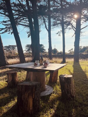 A wooden table with a bottle, glasses, and a bowl of fruit in a natural setting with trees and grass. - RESIDENCE SAINT PIERRE QUIBERON (Saint-Pierre-Quiberon)