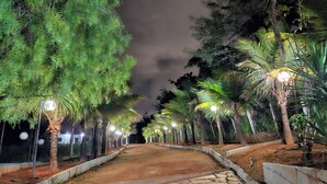 Ein gepflasterter Weg, gesäumt von Bäumen und beleuchtet von Straßenlaternen.