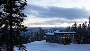 A modern cabin with a snow-covered roof, surrounded by trees and mountains in the background.
