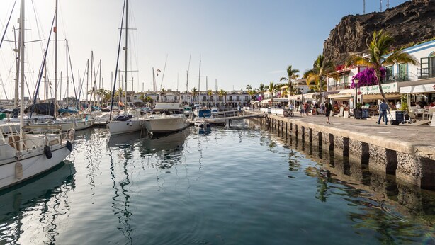 A marina with boats docked, a pier with people, and buildings with shops.