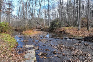 A forested area with a stream and rocks. - Greenway Getaway (Black Mountain)