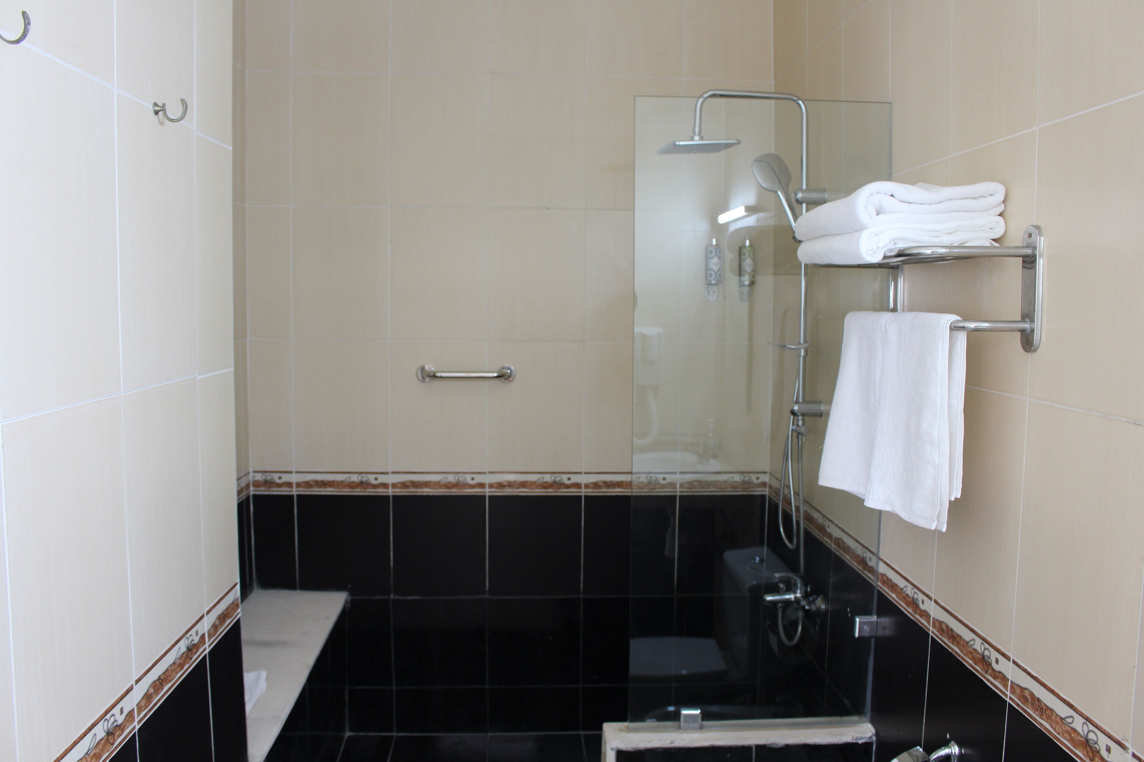 A bathroom with a glass shower enclosure, a toilet, and a towel rack with folded towels.