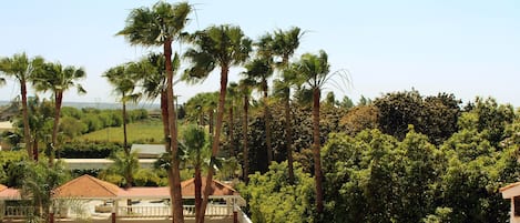 Superior Suite | Garden view