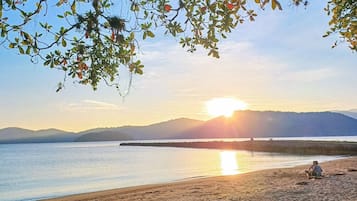 Playa en los alrededores y camastros