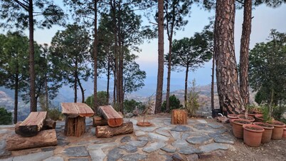 Couple and family friendly eco resort Near Shimla in Kandaghat