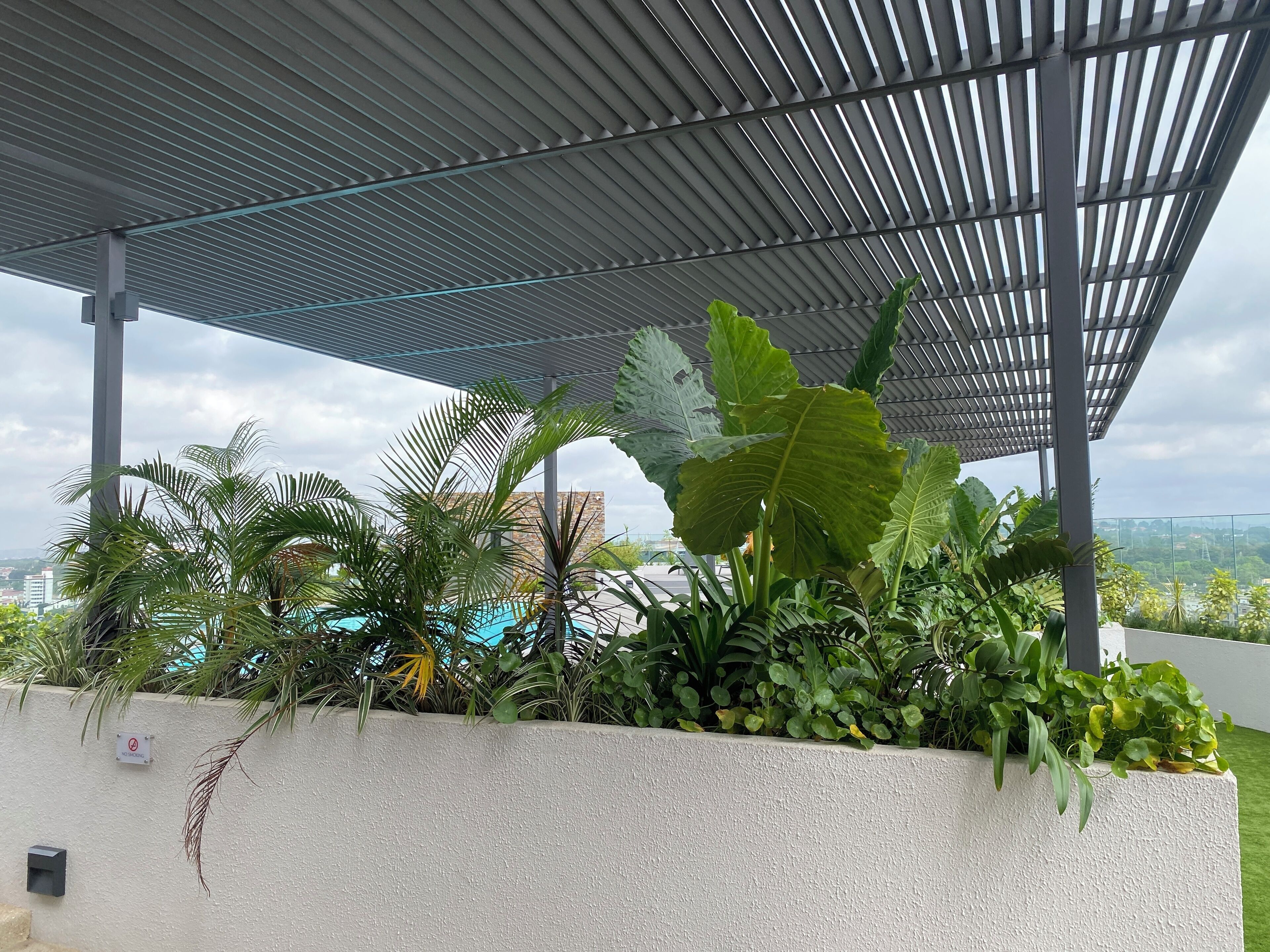 A covered outdoor area with a view of a cityscape, featuring a variety of tropical plants and a white wall.