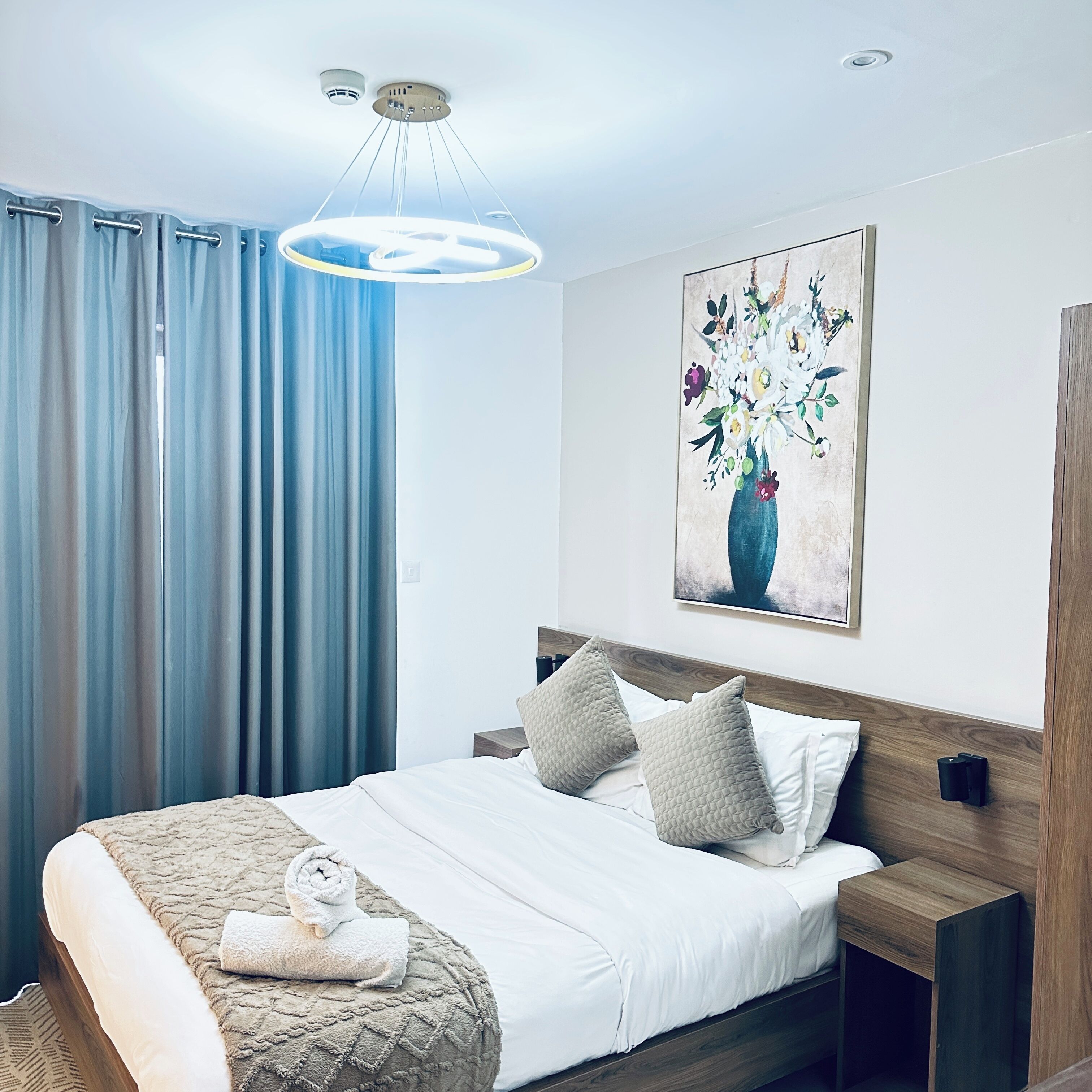 Habitación de hotel con cama, un cuadro, una mesita de noche y una lámpara en el techo.