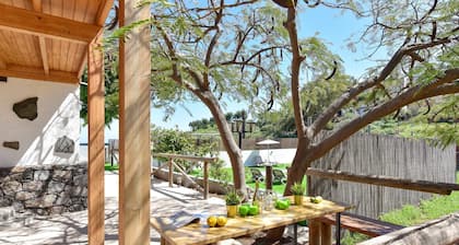 Finca Aguatona RC10 by VillaGranCanaria