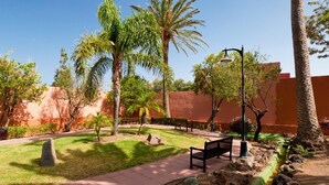A landscaped outdoor area with palm trees, benches, and a paved walkway.