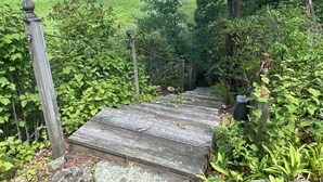 Un escalier en bois mène à un champ herbeux, d’où l’on peut admirer une zone boisée au loin.