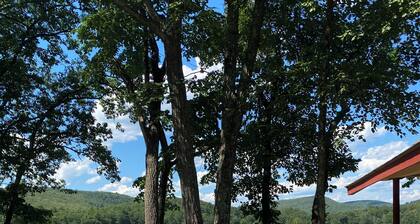 Enchanted 2 bedroom, x-lake cabin with mountain views. Fast WFYI , Napanoch.