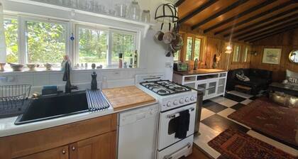 Enchanted 2 bedroom, x-lake cabin with mountain views. Fast WFYI , Napanoch.