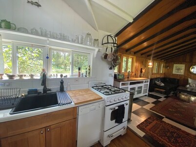 Enchanted 2 bedroom, x-lake cabin with mountain views. Fast WFYI , Napanoch.