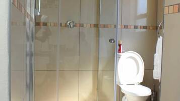 Hair dryer, shampoo, toilet paper