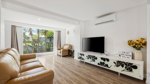 TV, fireplace, books