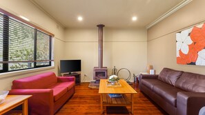 Televisio, takka, pöytätennispöytä, kirjoja