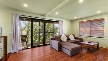 TV, fireplace, table tennis, books