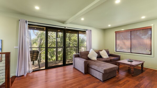 Televisio, takka, pöytätennispöytä, kirjoja