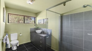 Shower, hair dryer