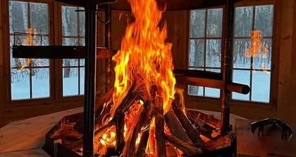 Anastasia’s Domain 5, Farm stay, off grid cabin in a beautiful forest!