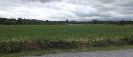 Ländliche Landschaft mit einem Schotterweg im Vordergrund und einem weitläufigen, grünen Feld bis zum Horizont.