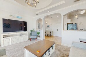 电视、DVD 播放器