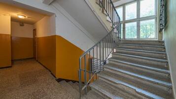 Uma escadaria com corrimãos de metal, degraus carpetados e uma janela com vista para árvores.