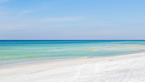 Unclassified image, 1 of 62, button - Sandpiper Philosophy (Panama City Beach)