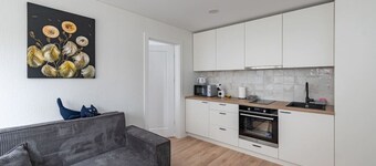 Ap Dandelion by Polo apartments