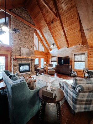 Smart TV, fireplace, books