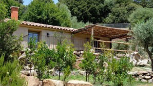 A rustic villa with a tiled roof, a balcony with a metal railing, and a stone wall. - "U Pireddu" Relaxation and comfort at U Sirenu (SARTENE)