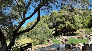 Un patio al aire libre con una mesa redonda y sillas, rodeado de árboles y vistas a un paisaje natural.