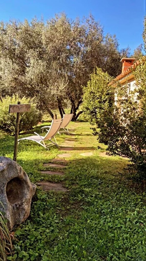 Un sendero que lleva a un área de descanso con un banco de piedra y un indicador.