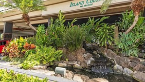 L’entrée d’un hôtel, ornée d’une enseigne indiquant « Island Colony 445 Seaside », est entourée d’une végétation luxuriante et agrémentée d’une petite cascade.