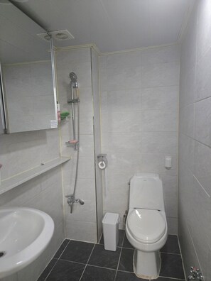 Douche, sèche-cheveux, serviettes fournies, savon