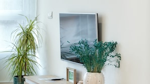 Una sala de estar moderna con un mueble de televisión de madera, un televisor de pantalla plana, una planta en maceta y decoración en la pared.
