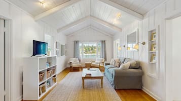 TV, fireplace, books