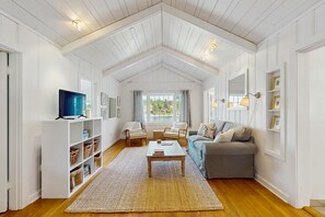 TV, fireplace, books