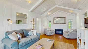 TV, fireplace, books