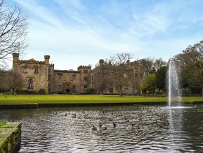 Unclassified image, 3 of 16, button