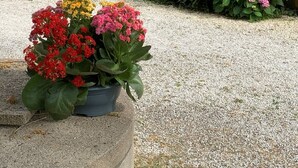 Una casa con fachada texturizada, camino de entrada de grava y un parterre con flores rosas y rojas.