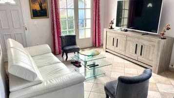 TV connectée, cheminée