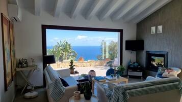 Télévision, cheminée, livres, chaßne hi-fi