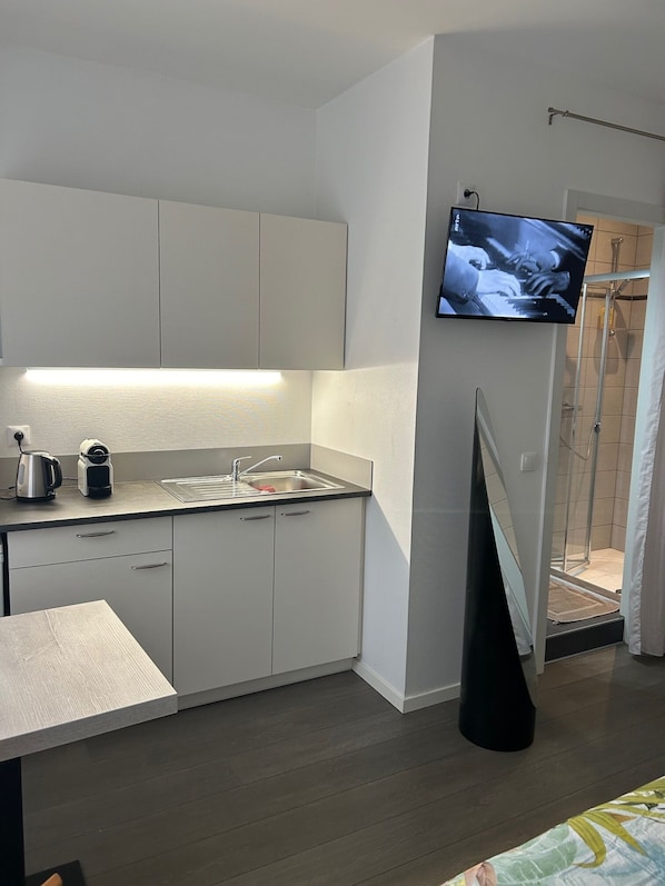 Klassieke kamer | Badkamer | Een douche, een haardroger, handdoeken