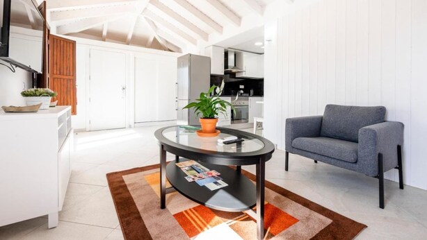 A modern living room with a glass coffee table, a grey sofa, and a potted plant. - Loft located in the city center with a large terrace and good sun exposure (Tavira)