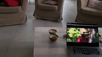 电视、DVD 播放器、书、影片库