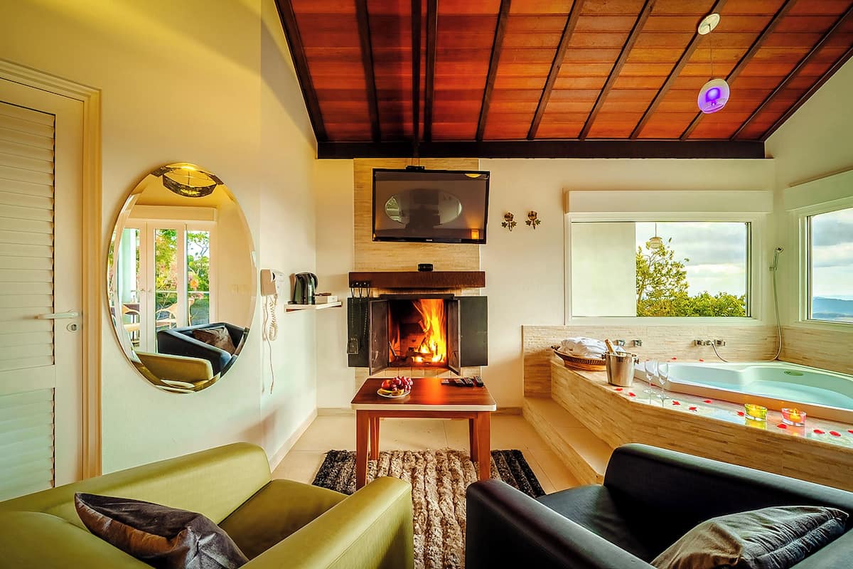 A cozy living room with a fireplace, a large mirror, a sofa, and a bathtub with rose petals.