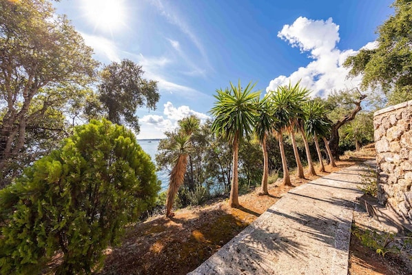 A stone pathway leading to a body of water, surrounded by trees and vegetation.